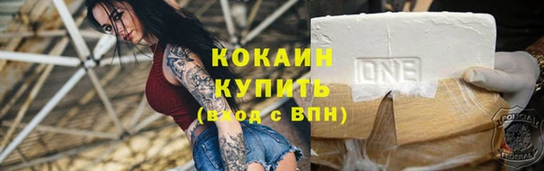 трава Аркадак
