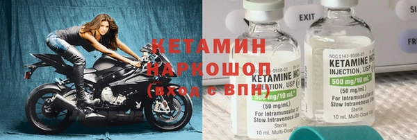 трава Аркадак