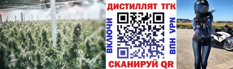 ТГК Wax Тайшет